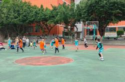 开云体育平台APP-关于青少年篮球助力校园篮球普及的信息