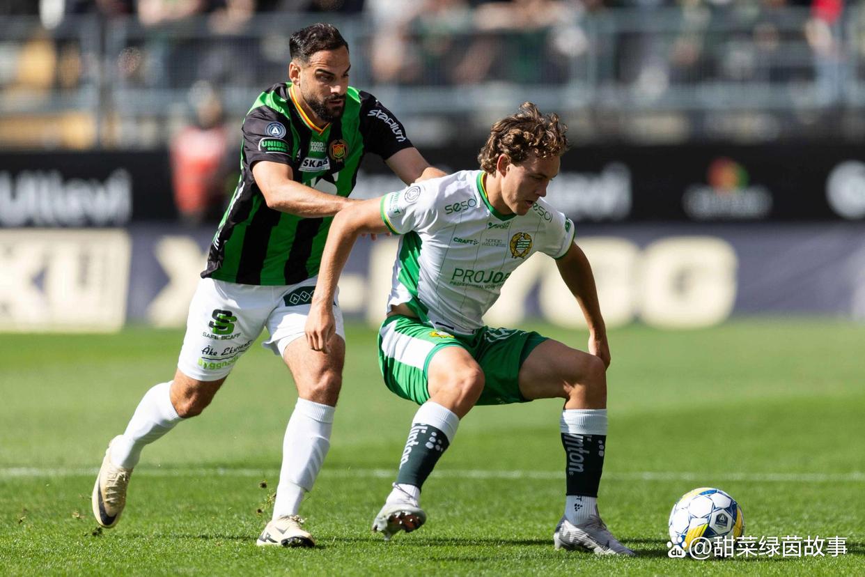 瑞典队横扫法国队，王皓状态火热的简单介绍