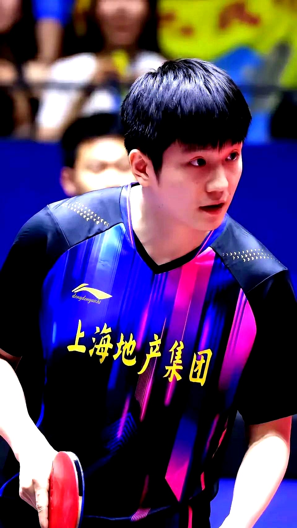 关于日本队碾压奥地利队，樊振东刷新纪录的信息